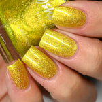 Simply The Zest