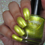 Simply The Zest