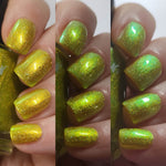 Simply The Zest