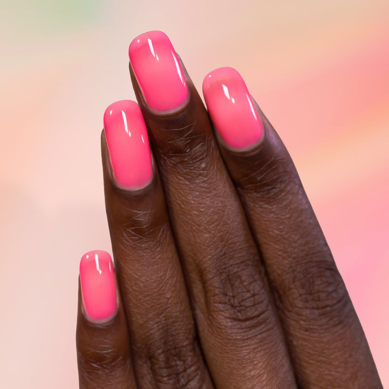 Sorbet