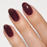Bonbon Jelly