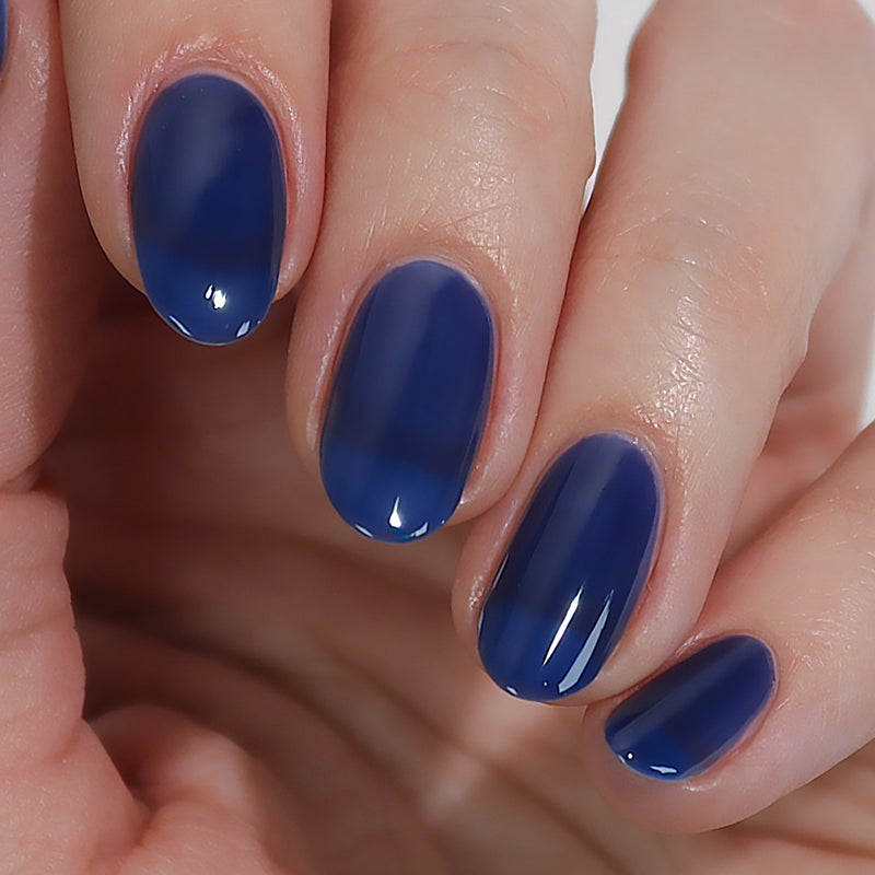 Midnight Jelly