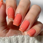 Sherbet Jelly