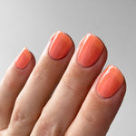 Sherbet Jelly