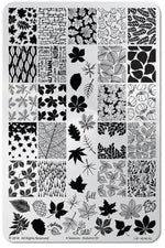Four Seasons - Autumn 03