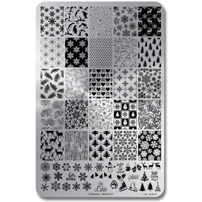 Lina Nail Art Supplies Four Seasons Winter 01 stamping plate