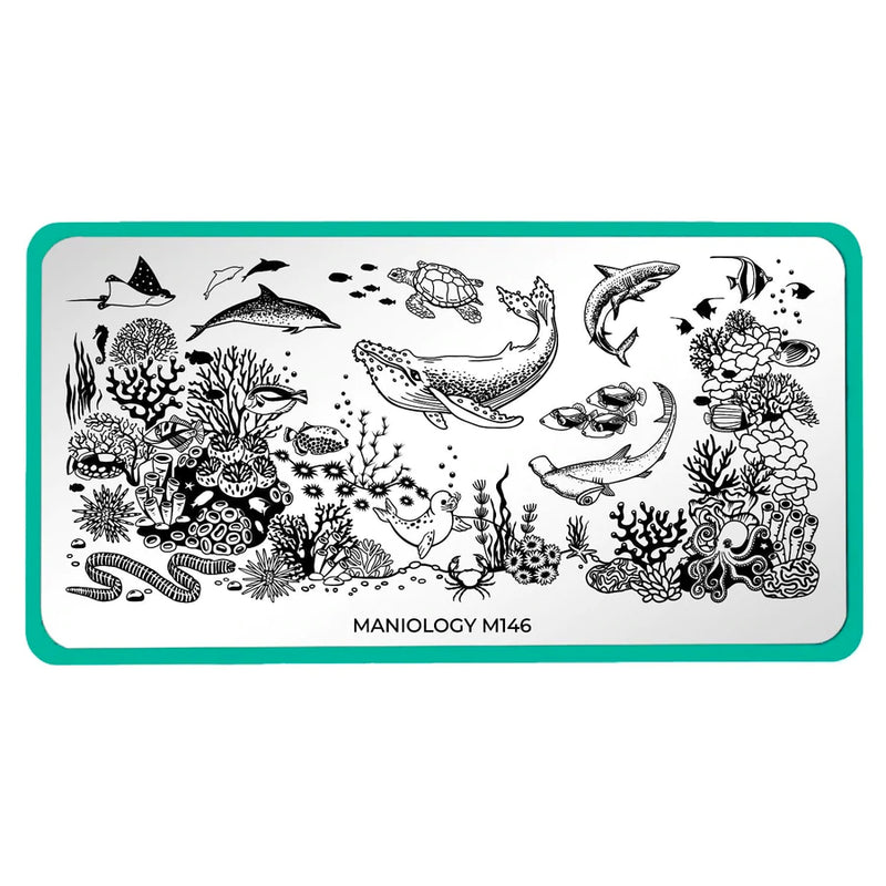 Dive In Stamping Plate